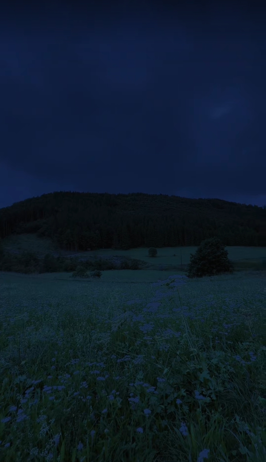 Barcos de papel com velas na água