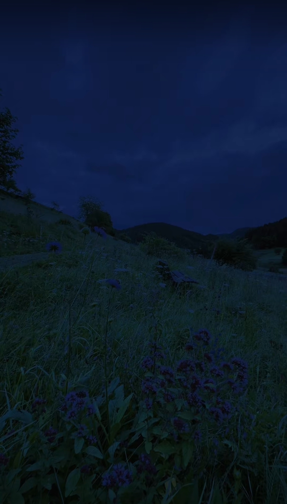 Vale com névoa ao amanhecer