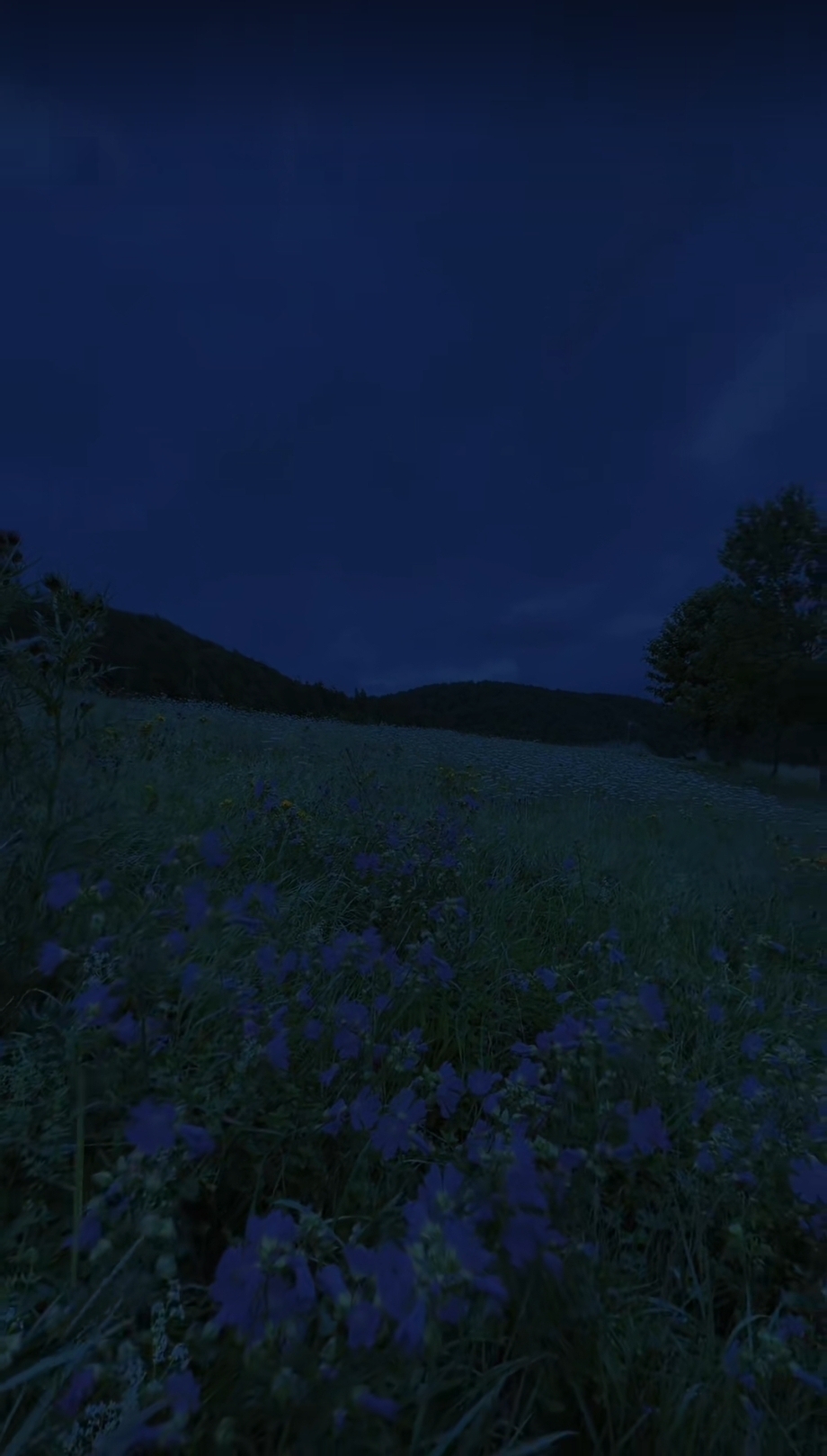 Farol iluminando o mar à noite